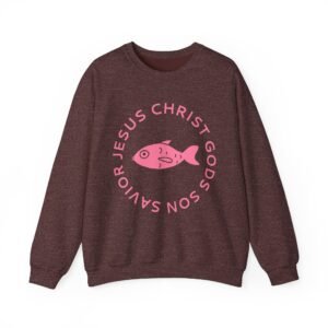 UCD Christian Sweatshirt Jesus Christ God's Son Savior