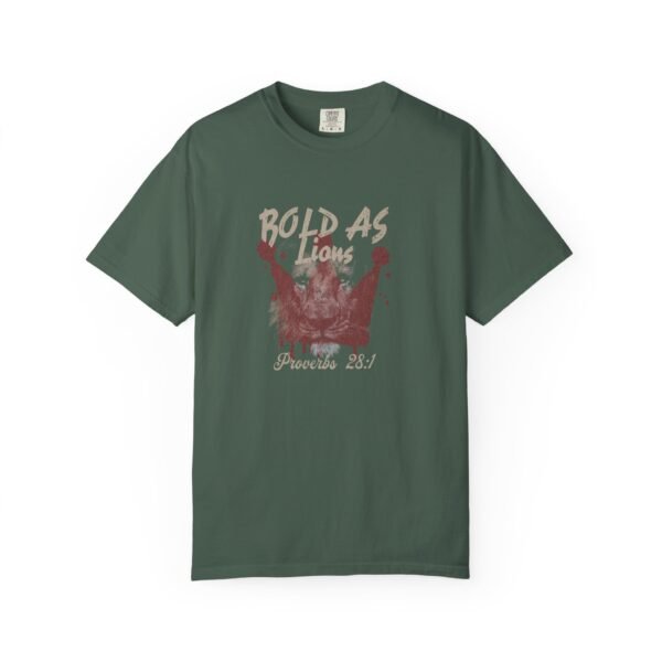 UCD Christian T-shirt Bold as Lions